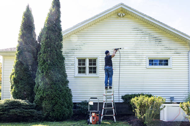 Best Pressure Washing Contractors  in Springhill, LA